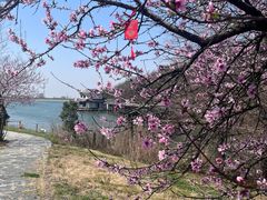 -句容茅山景区