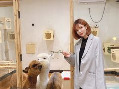 -猫色咖啡·猫咖