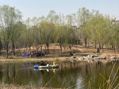 -马家湾湿地公园