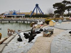 -泉城欧乐堡梦幻世界
