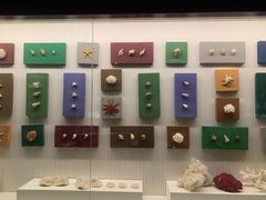 -青岛贝壳博物馆