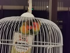 -上海崇明金茂凯悦酒店