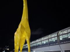 -白石龙音乐公园