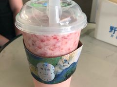 -野萃山·潮汕厚果汁(十亩地店)