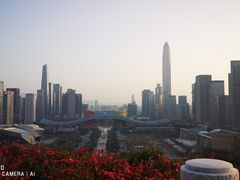 -莲花山公园