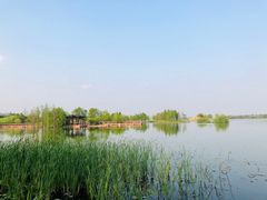 -贡湖湾湿地公园