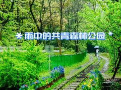 -上海共青森林公园