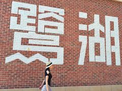-美的鹭湖森林度假区