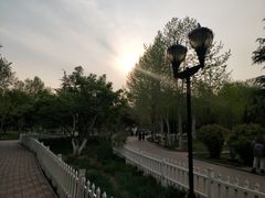 -裕华世纪公园