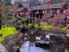 -青城甲(青城山店)