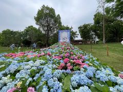 -武汉园博园(武汉自然博物馆)