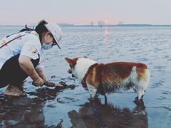 -南汇新城海滩