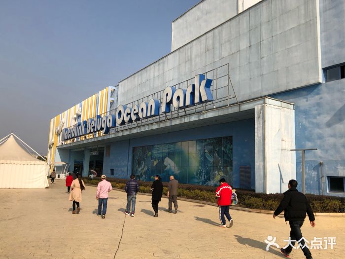 芜湖新华联大白鲸海洋公园图片