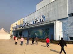 -芜湖新华联大白鲸海洋公园