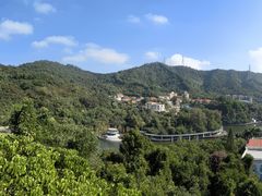-银湖山郊野公园-相思林