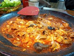八爪鱼微辣-红辣椒八爪鱼特色韩国料理