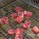 宁波探店 这是生蚝🦪爱好者的天堂嘛