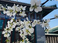 -国家图书馆·古籍馆