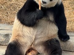 -陈大锅·岳阳鱼馆·地道岳阳菜(美食街店)