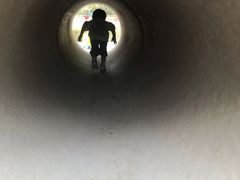 -北京麋鹿生态实验中心