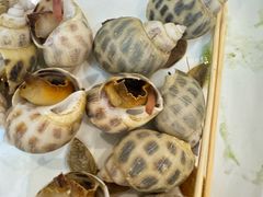 -阳江餐厅·30年老字号·粤菜海鲜大排档