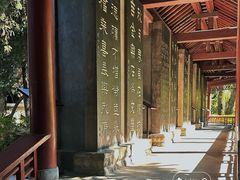 -碑林公园