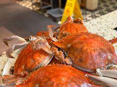 -仙螺岛海鲜自助餐厅(总店)