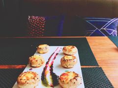 -百好乐宠物友好餐厅(朝外大街店)