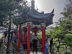 -王顺山国家森林公园