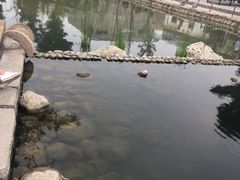 -茯茶镇