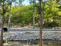 -白水寺森林公园
