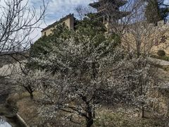 -柳氏民居