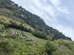 -敬亭山风景名胜区