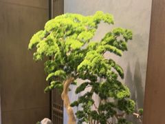 -百富源·海鲜辽菜(和平北大街店)