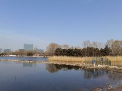 -大兴滨河森林公园