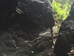-石台牯牛降景区