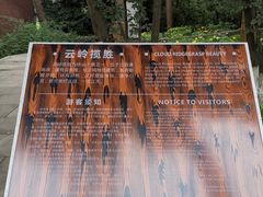 -铁山坪森林公园