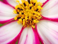 圣蓝海洋公园-北戴河圣蓝海洋公园