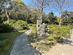 -上海滨江森林公园