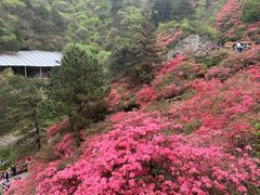 -木兰云雾山