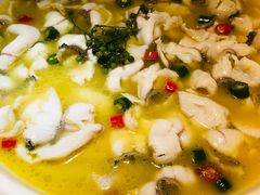 招牌青花椒-青花椒花椒鱼(新百店)