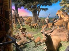 -国家自然博物馆