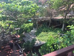 -卷心菜和避孕套餐厅(Pattaya)