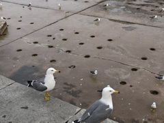 -星海广场
