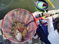 -酷鱼垂钓CLUB(朝阳区博大路店 )