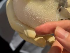-肆月河豚·淮扬菜·湘菜(华天店)