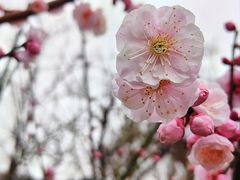 -北京明城墙遗址公园