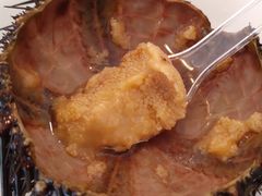 -海胆小馆(东北水饺·春柳店)