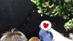 -格乐利雅婚礼艺术中心(南外滩店)