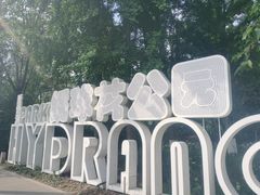 -塔子山公园